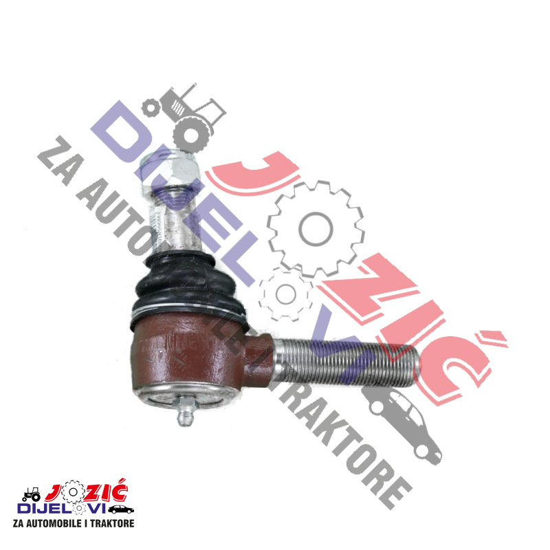 Daisy on the Ohoopee